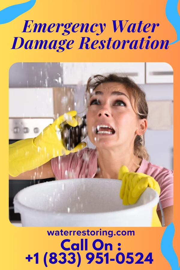 Emergency Water Damage Restoration in Wintersburg, AZ