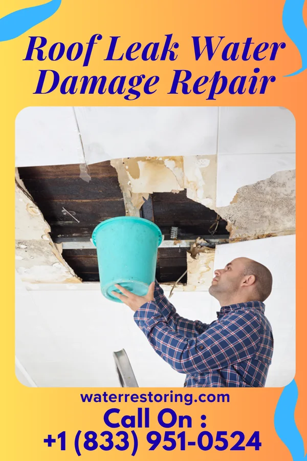 Roof Leak Water Damage Repair in Wintersburg, AZ